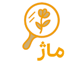 ماژ ، زیبایی با یک کلیک